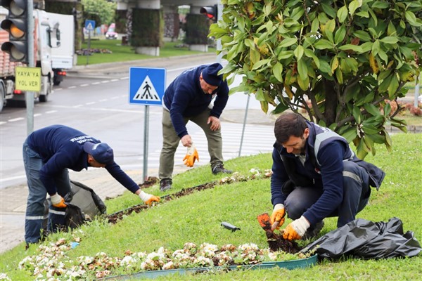 Tonami meydanı yaza hazırlanıyor
