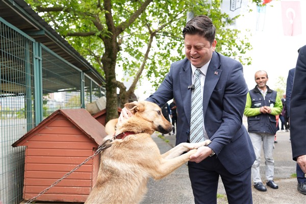 Kadıköy Belediyesi Geçici Hayvan Bakımevi yenilendi