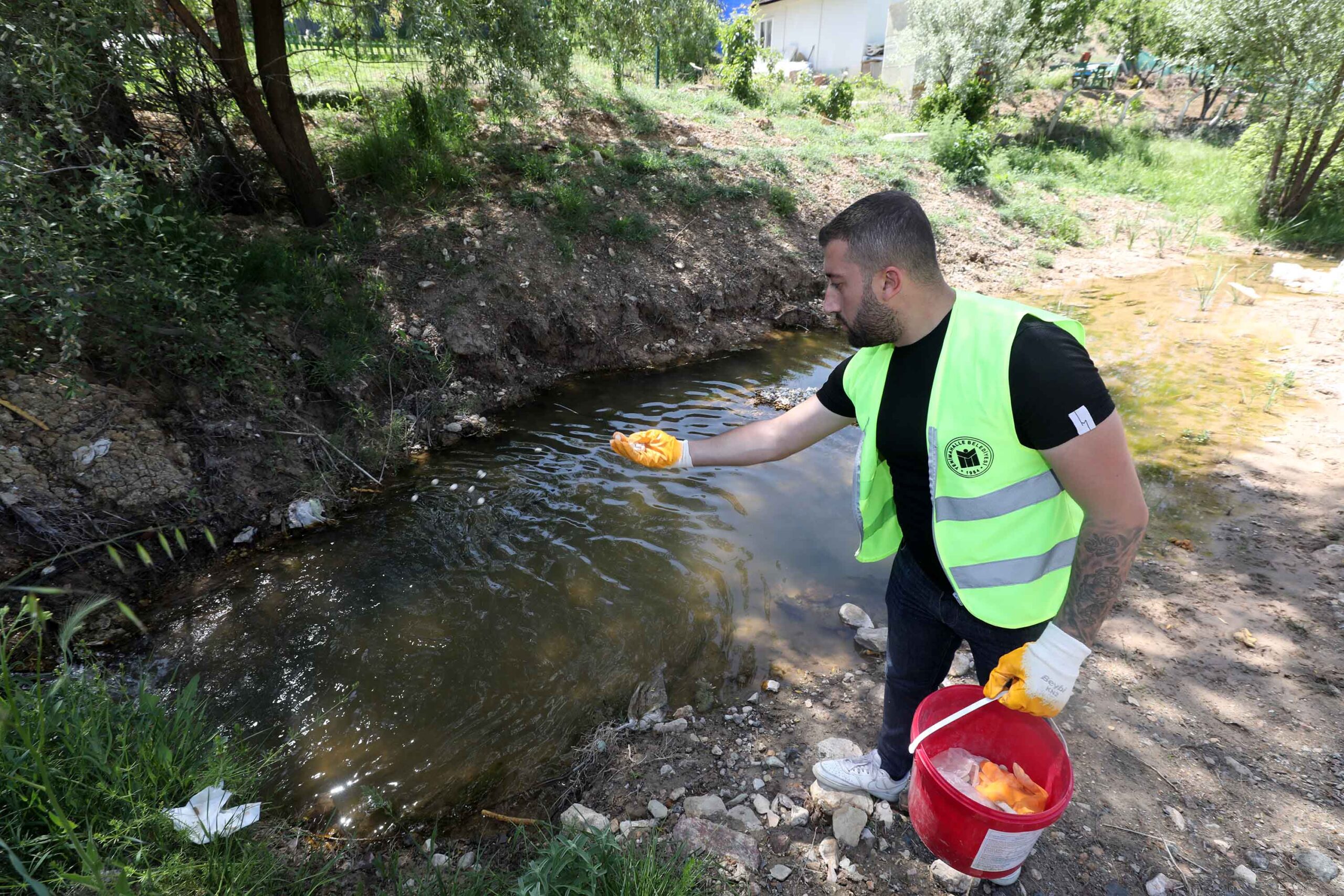 Yenimahalle’de larva mücadelesi başladı