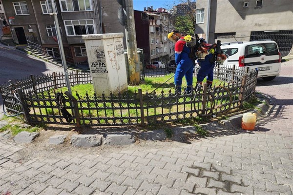 Kağıthane’de çevre düzenleme çalışmalarına devam ediliyor