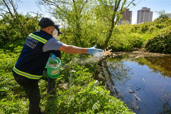Esenyurt’ta larva mücadelesi