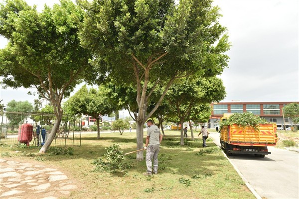 Kepez Belediyesi’nden park bakımı