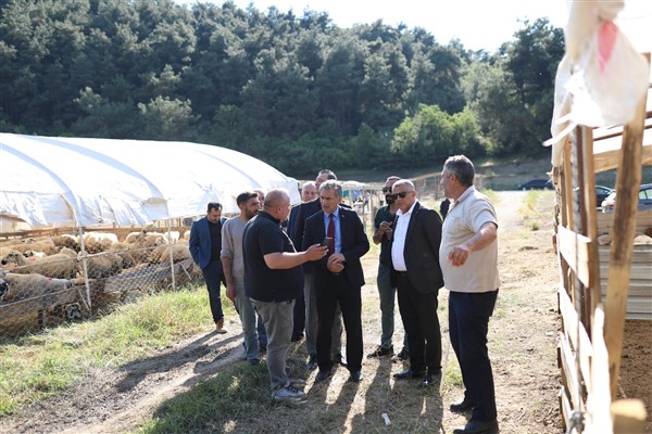 Gemlik Belediyesi Kurban Pazarı’nda satışlar başladı