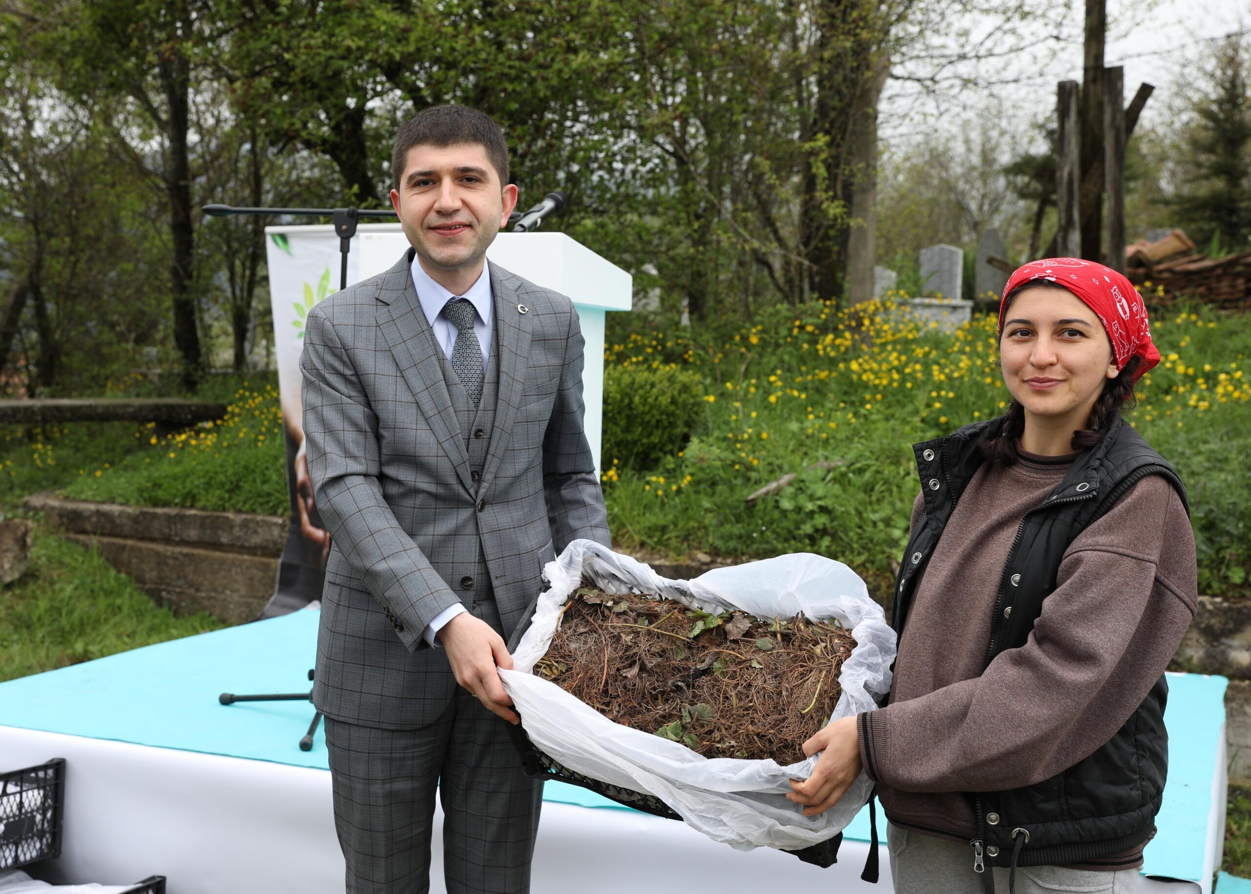 Samsun Büyükşehir Belediyesi’nden çilek üreticilerine destek