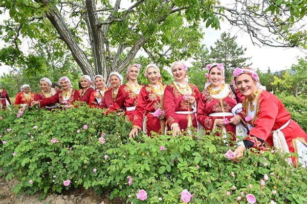 Güneykent’te gül hasadı yapıldı