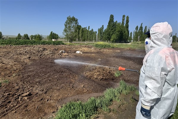 Çorum’da vektörel mücadele çalışmaları