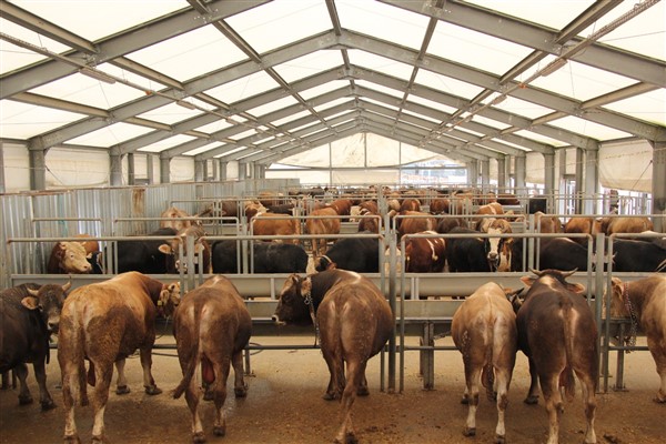 İBB’den Kurban Bayramı için 4 modern tesis