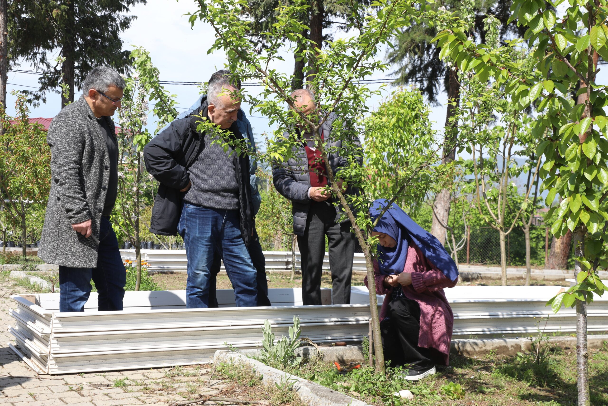 “Meyve Ağaçlarında Aşılama” kursiyerleri sahaya indi