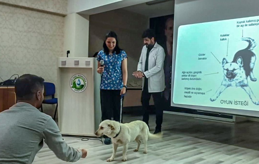 Van Büyükşehir Belediyesi, öğrencileri sokak hayvanları hakkında bilgilendirdi