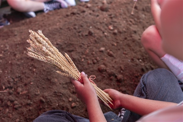 Mersin’de ‘Tohum Takas Şenliği’ düzenlendi