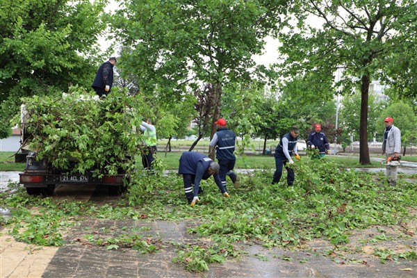 Diyarbakır’da olumsuz hava koşullarında 370 ağaç zarar gördü