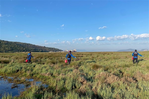 Muğla Büyükşehir, 60 hektar alanda ilaçlama yaptı