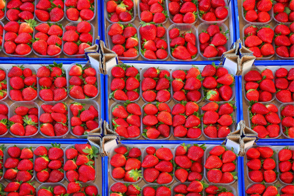 Nisan ayı İstanbul hal verileri açıklandı