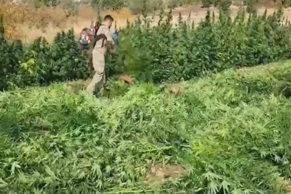 Diyarbakır’da uyuşturucu operasyonu