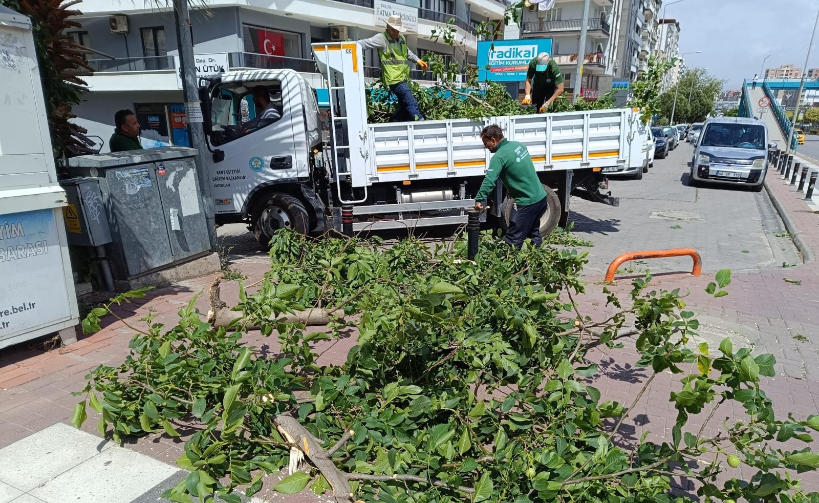 Manisa’da fırtınanın zarar verdiği ağaçlar kaldırıldı