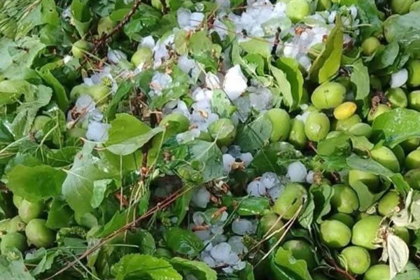 Kaymakam Yeşilyurt: dolu felaketinden 10 mahallemiz ciddi şekilde etkilendi
