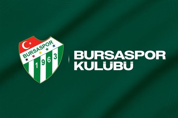 Bursaspor Başkanı Çelik, yılın başkanı seçildi