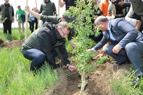 Kars’ta 6 bin 283 fidan toprakla buluşuyor