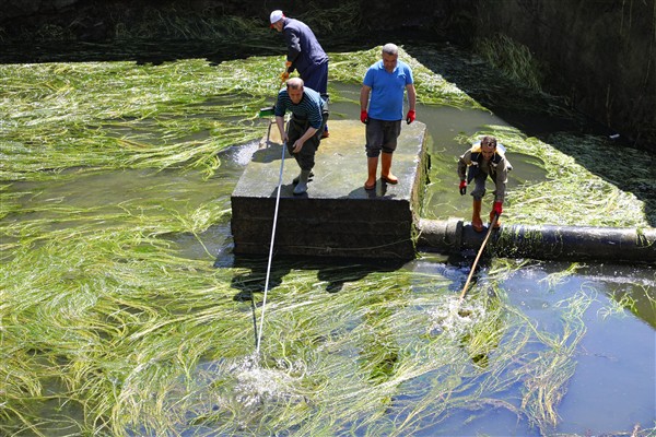 Bitlis Belediyesi’nden mesire alanında temizlik seferberliği