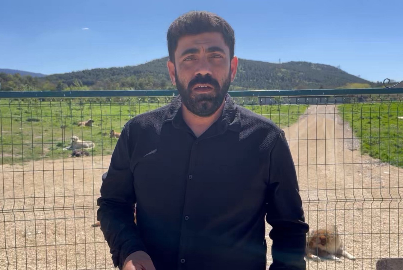 Hayvan hakları aktivisti Kaya: Hayvanların yaşam hakkı, fiilen de korunmalıdır