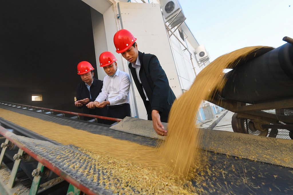 Çin’de satın alınan tahıl miktarı 345 milyon tona çıktı