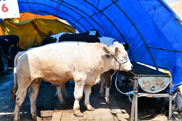 Mamak’ta bayram hazırlıkları tamamlandı