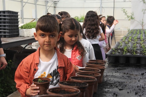 Van’da anaokulu öğrencileri seralarda doğayla buluştu