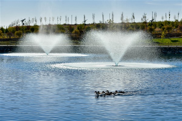 Ata Çiftliği, 23 Nisan haftasında yaklaşık 35 bin Ankaralıyı ağırladı