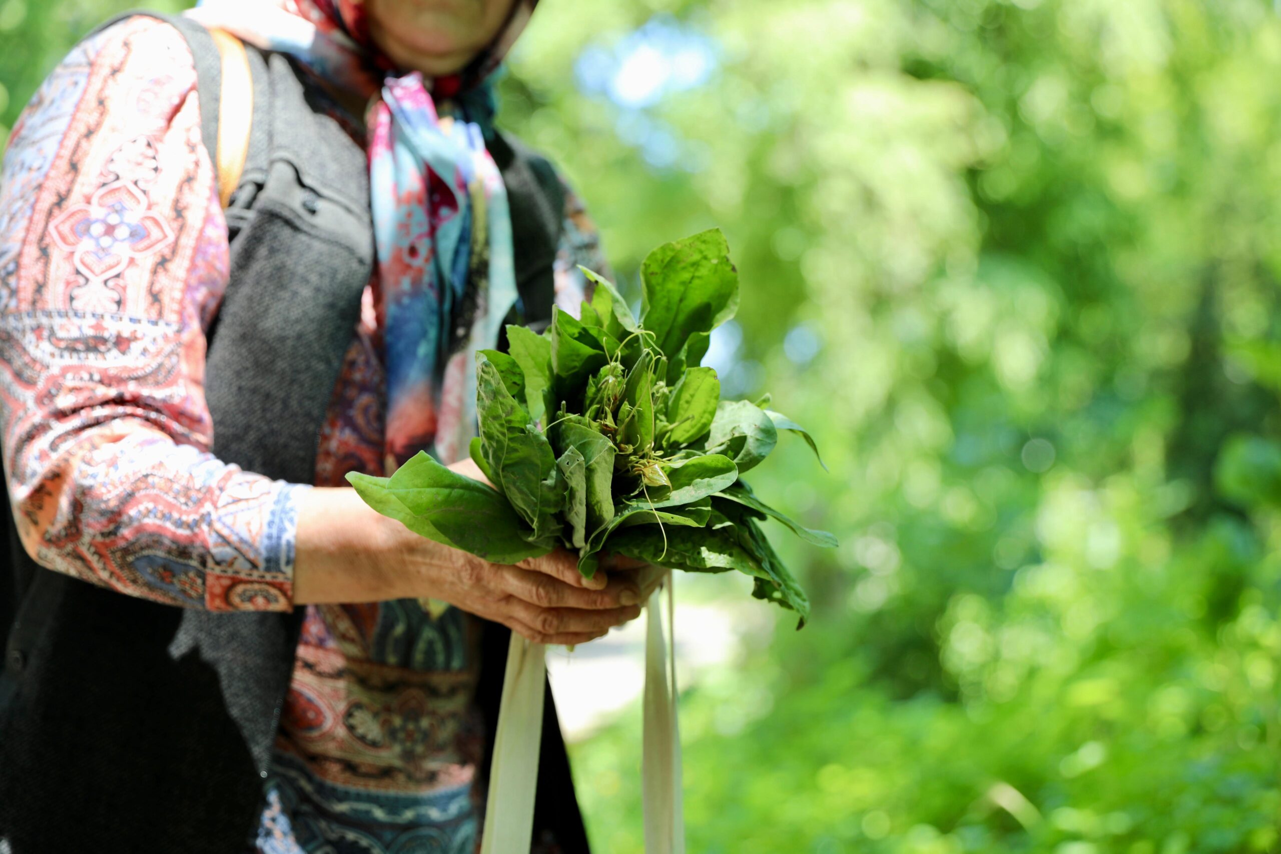 Ot Yemekleri Festivali başladı