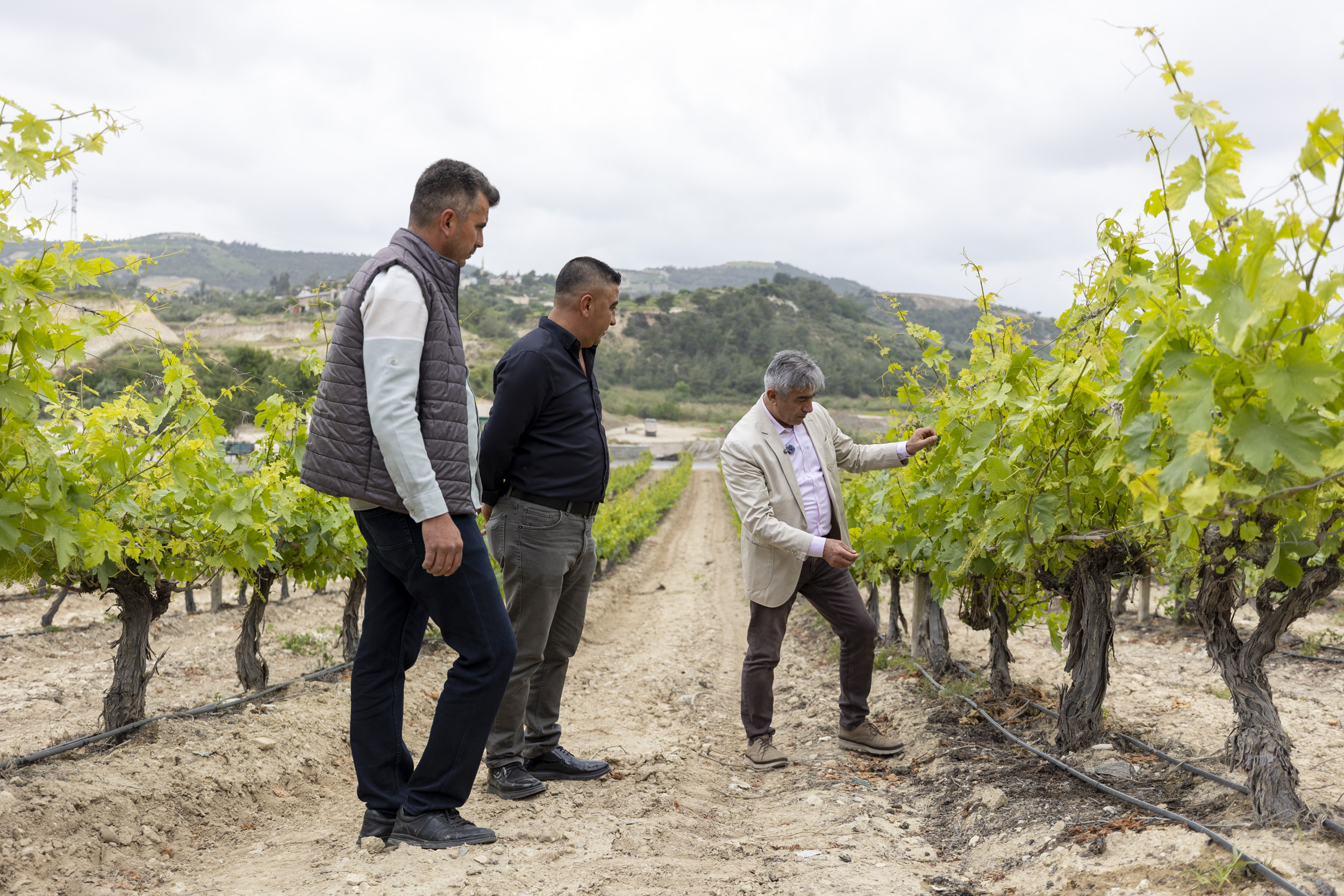 Mersin Büyükşehir Belediyesi’nden üreticilere tarımsal sulama eğitimleri