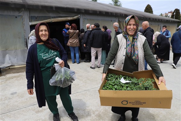 Ordu’da yazlık sebze fidesi dağıtımı başladı