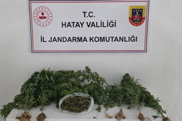 Hatay’da uyuşturucu ve kaçakçılık operasyonları