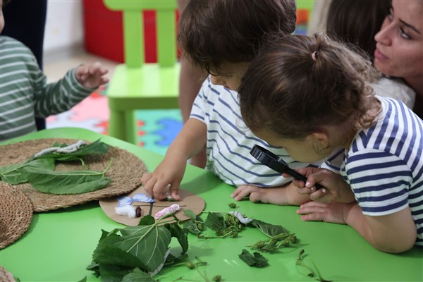 Antalya Büyükşehir çocukları ipekböceği ile tanıştırıyor