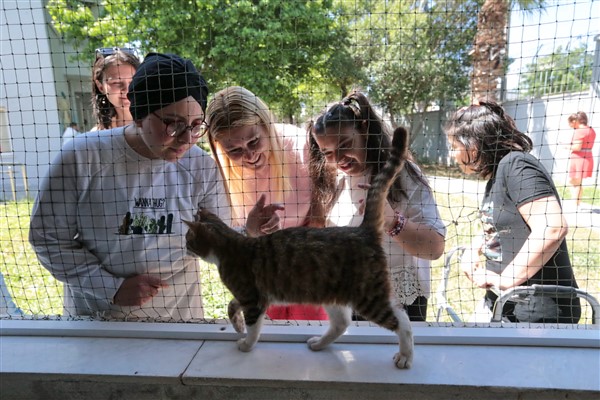 Konak Belediyesi’nden Engelliler Haftası etkinliği