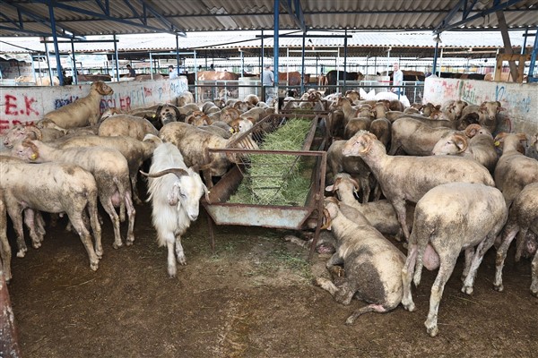 Nilüfer Belediyesi, Kurban Bayramı hazırlıklarını tamamladı