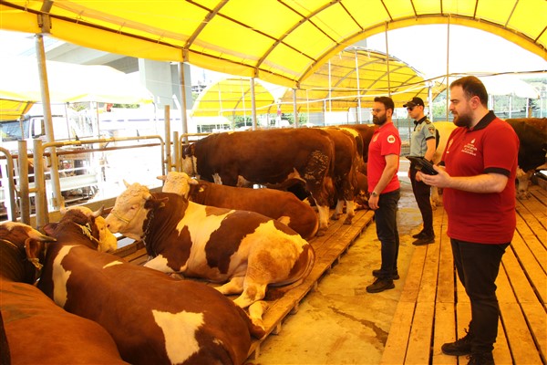 İstanbul’da kurbanlık denetimleri başladı