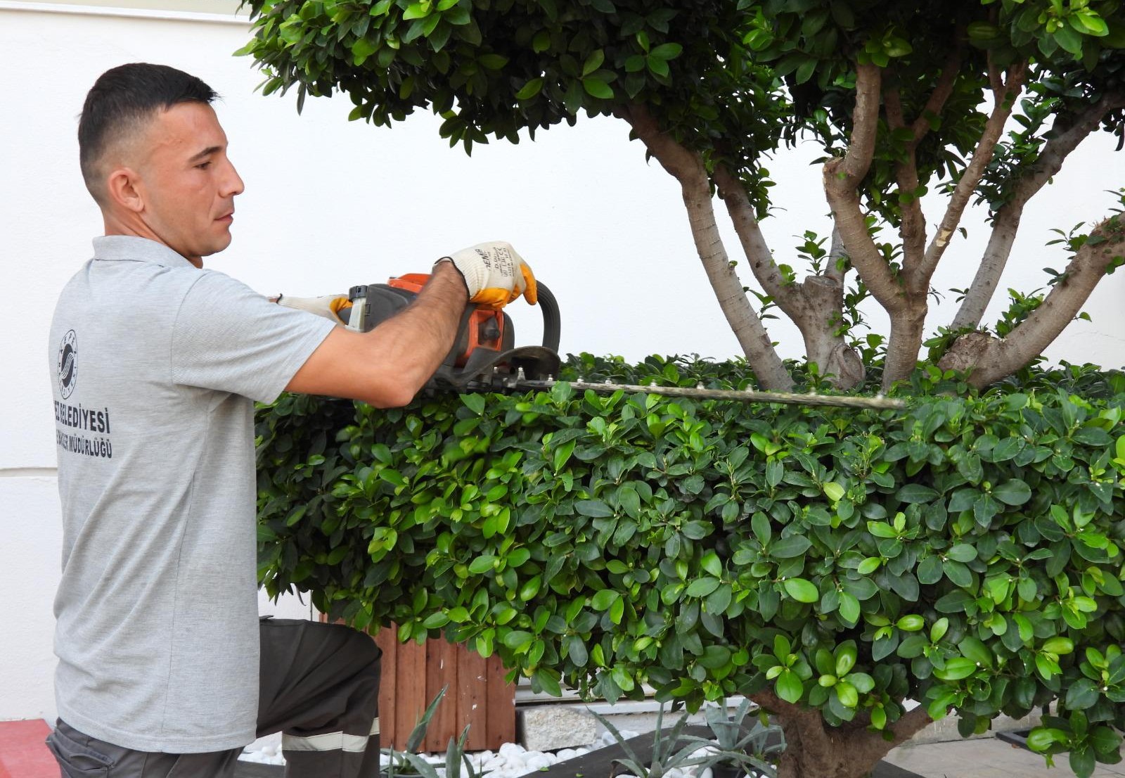 Başkan Kocagöz: Doğayla uyumlu bir Kepez için çalışıyoruz