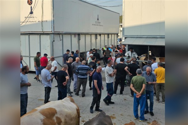 İzmir Büyükşehir Belediyesi’nden kurban kesim hizmeti