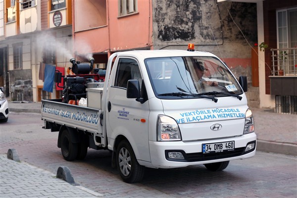 Sivrisinek ve haşere sorununa karşı ilaçlama yapılıyor