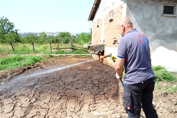 Düzce Belediyesi sinekle mücadeleyi sürdürüyor