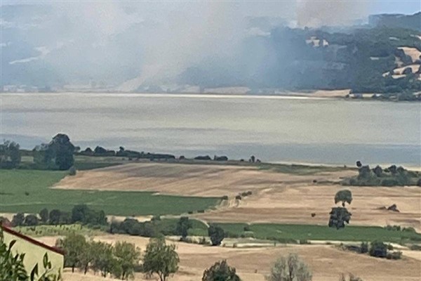 Edirne’de tarla yangını