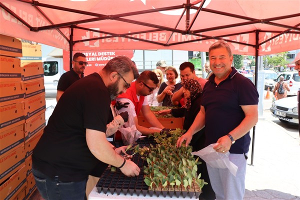 İzmit Belediyesi’nden vatandaşa ücretsiz fide desteği