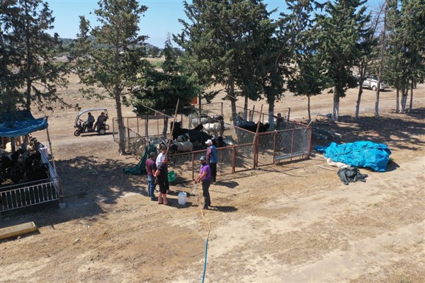 Kurban satış ve kesim yerleri belli oldu