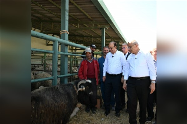 Başkan Er, Hayvan Pazarını ziyaret etti