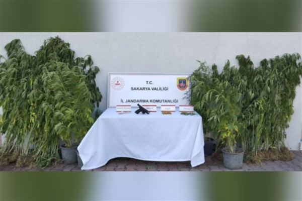 Sakarya’da uyuşturucu operasyonu: 1 tutuklama