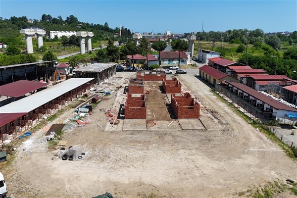 Ordu Büyükşehir’den sokak hayvanlarına modern yaşam alanı