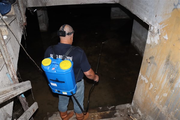 Yalova Belediyesi ekipleri, larva mücadelesini sürdürüyor