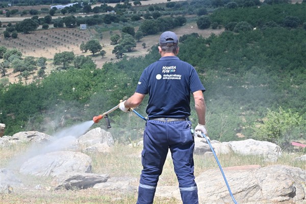 Köprübaşı’nda çekirge istilası için çalışma başlatıldı