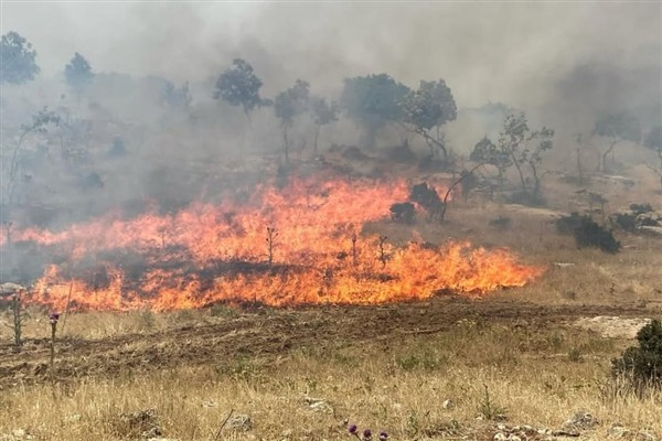 Mazıdağı’ndaki orman yangını kontrol altına alındı