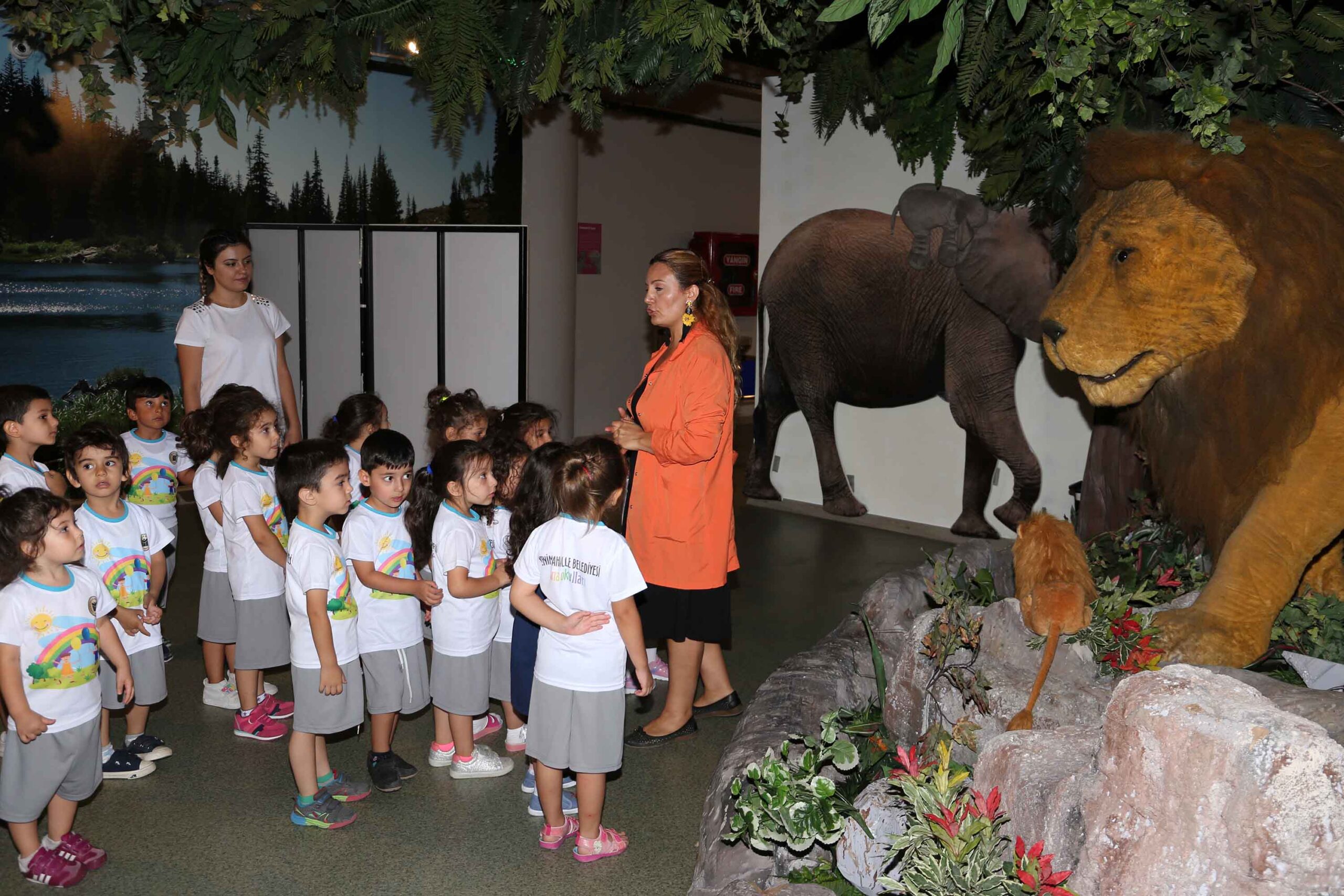 Yenimahalle kreşlerinde yaz okulu başlıyor